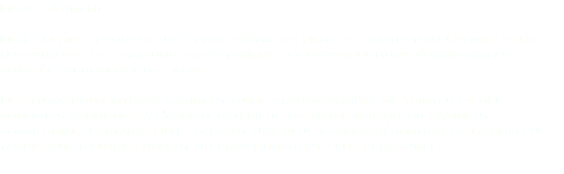 Films Bâtiment Film Solaire propose une large gamme de films de protection solaire pour les vitrages des maisons, appartements et constructions commerciales adaptée au confort des gens. Des films pour vitrage bâtiment d'une grande variété de teintes et des couleurs assorties à l'aspect extérieur de votre maison ou bâtiment commercial. Certains films offrent une plus grande réduction de la chaleur tandis que d'autres créent un environnement plus personnel. 